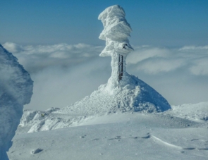 Dana Dubcova Nemcokova