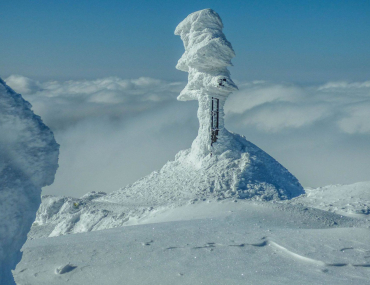 Dana Dubcova Nemcokova