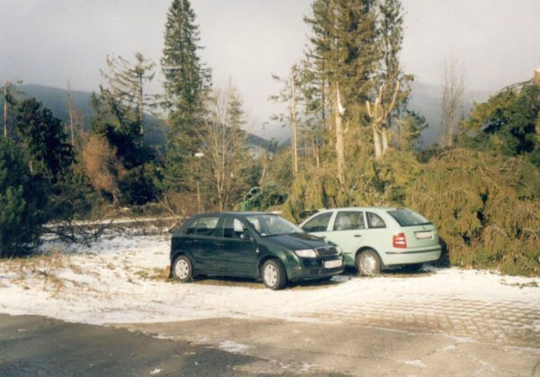V roku 2004 sa Tatrami prehnala víchrica, ktorá za sebou zanechala úplnú spúšť.