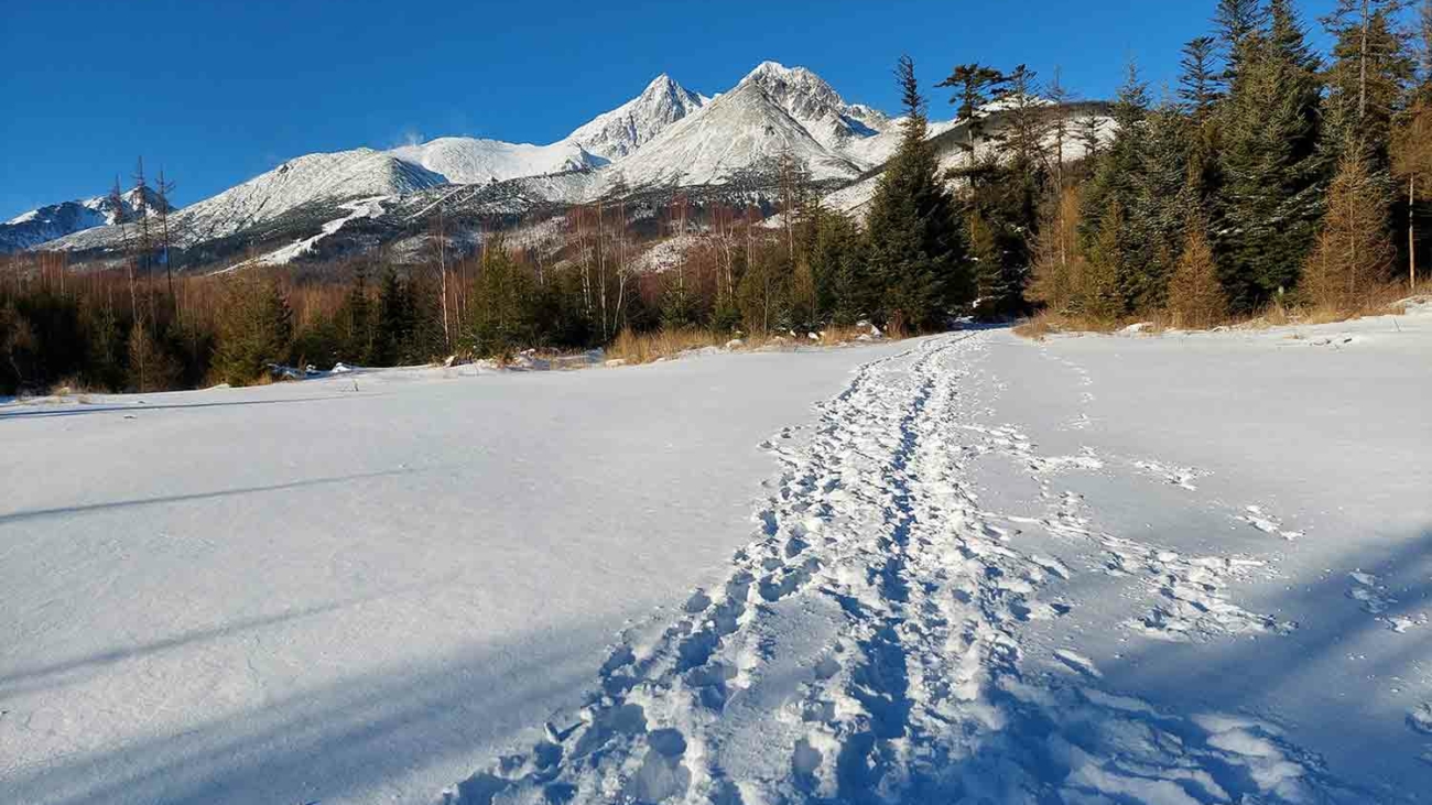Prechádzka zimnými Tatrami.