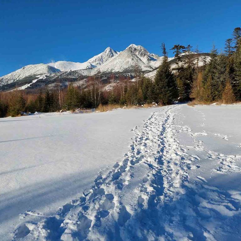 Prechádzka zimnými Tatrami.