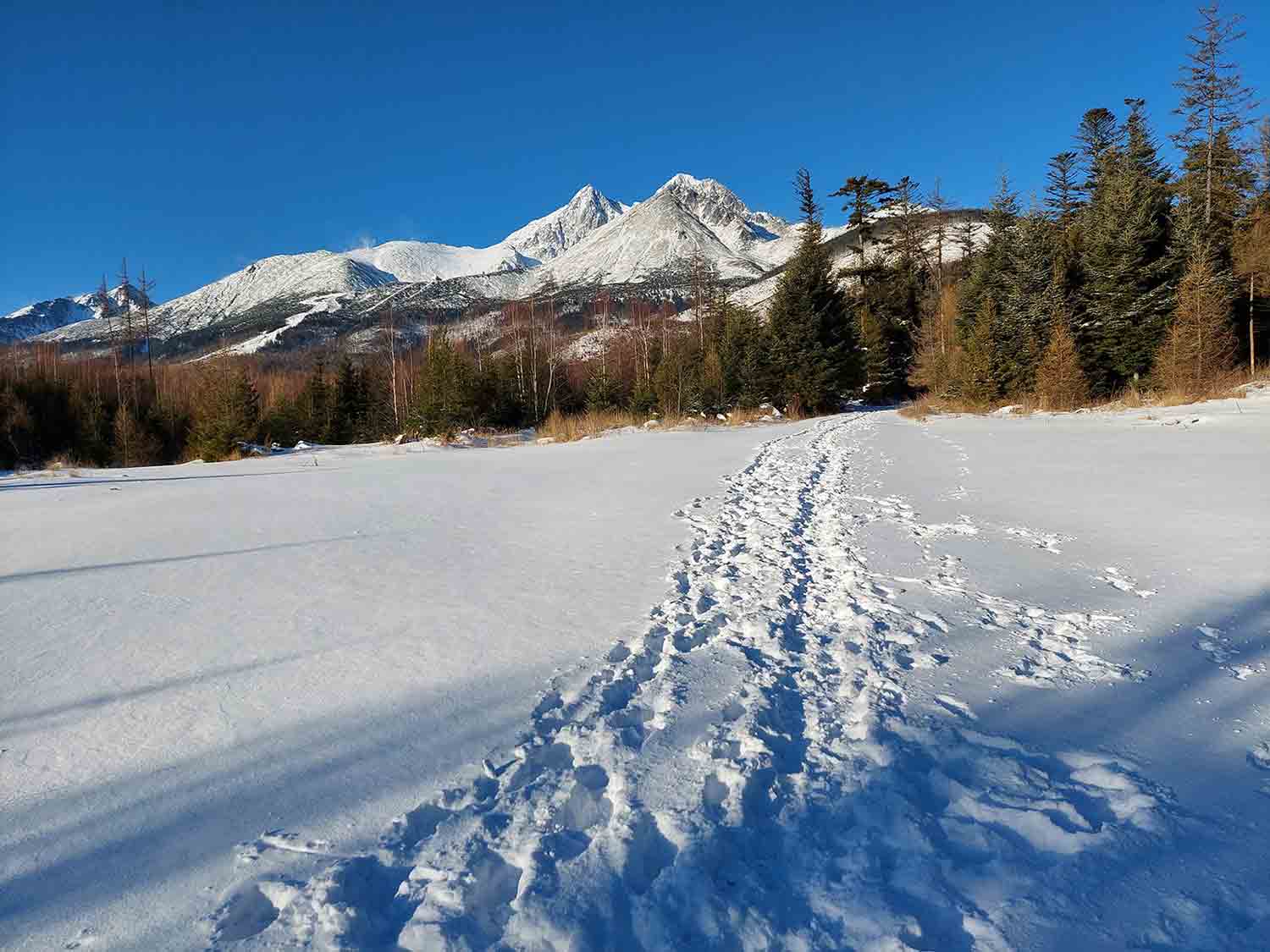 Prechádzka zimnými Tatrami.