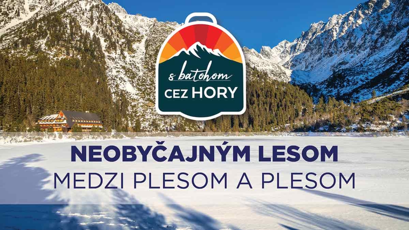 Neobyčajným Lesom medzi Plesom a plesom