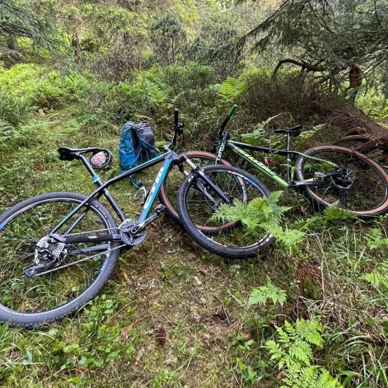 Na Brusnianskom okruhu