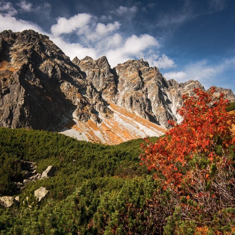 Marián Béreš Photograph