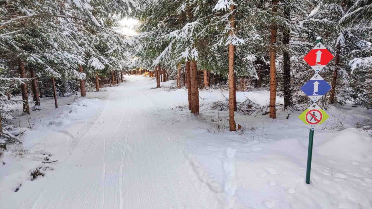 Bezkovanie Smokovce 1