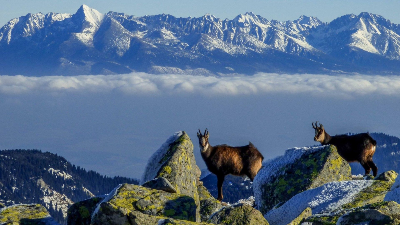 Panoráma Nízkych Tatier