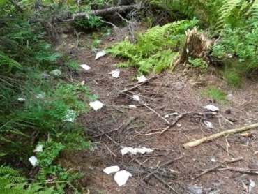 Odpadky pri ceste na Zelené pleso