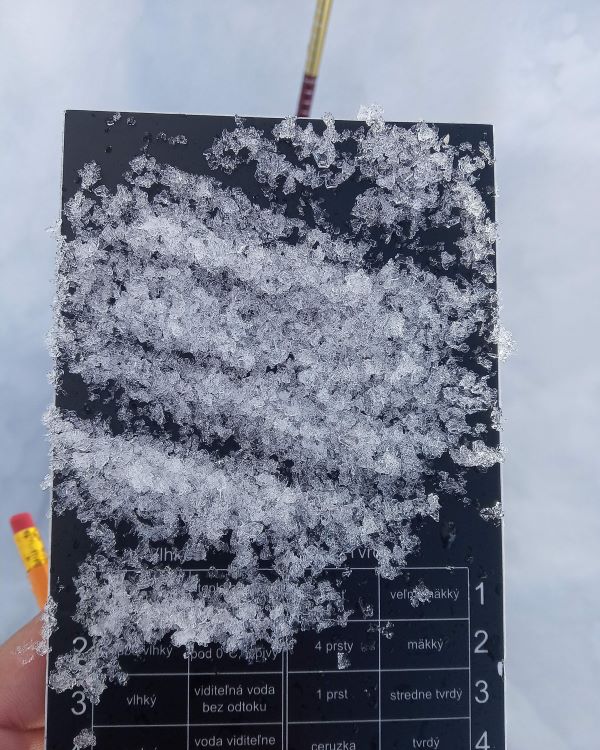 Snehový raster na určovanie snehových zŕn v snehovom poli