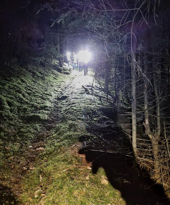 Horskí záchranári pátrajú po žene a mužovi, ktorých naháňal v Demänovskej doline medveď