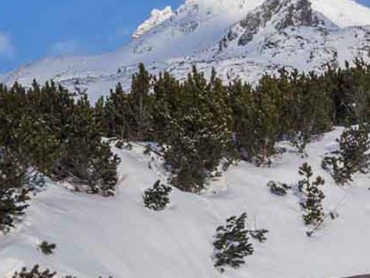 Mengusovská dolina sa nachádza na južnej strane Vysokých Tatier