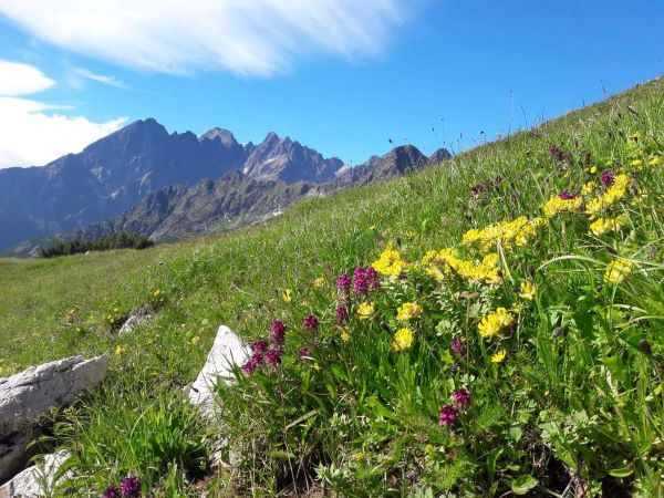 Niekomu sa najviac páčia jarné Tatry