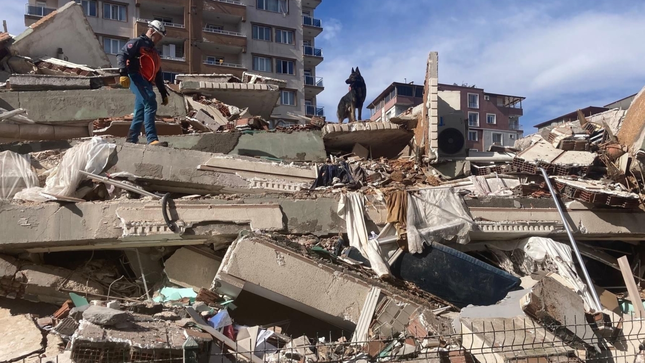 Záchranársky pes Ajax hľadá živých v ruinách domov v Turecku