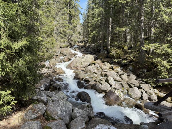 Túra na Popradské pleso je plná čarovných zákutí