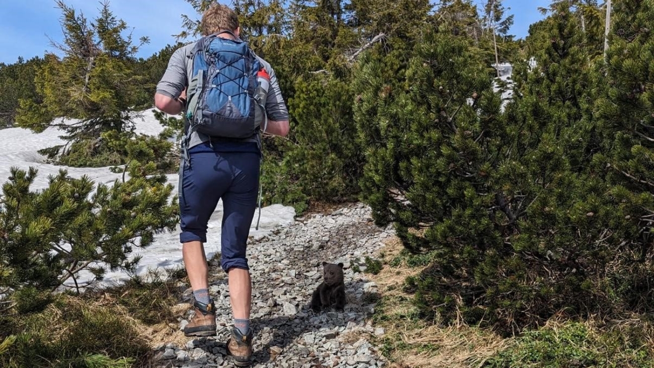 Turistu v ceste za cieľom nevyrušilo ani medvieďa