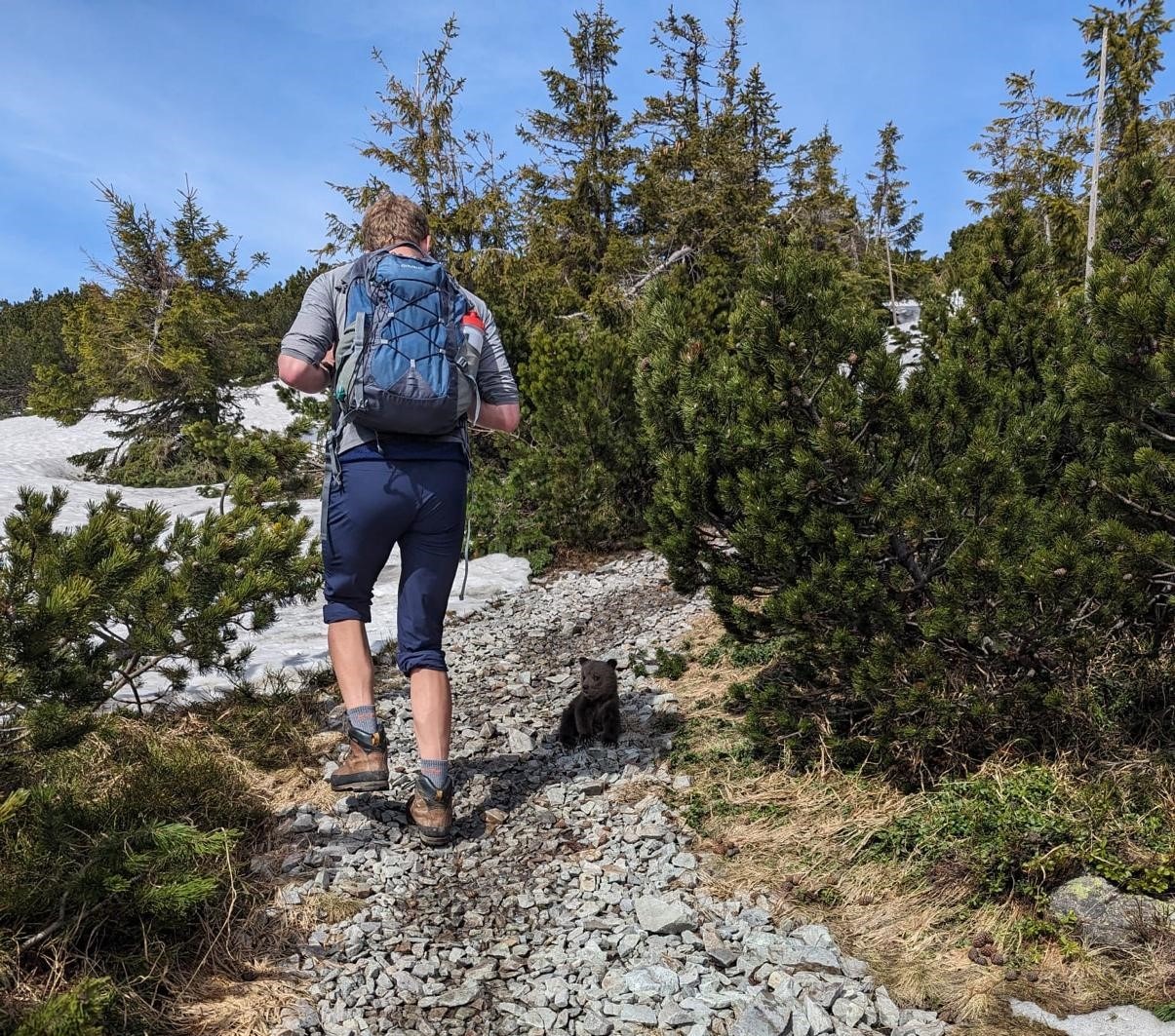 Turistu v ceste za cieľom nevyrušilo ani medvieďa