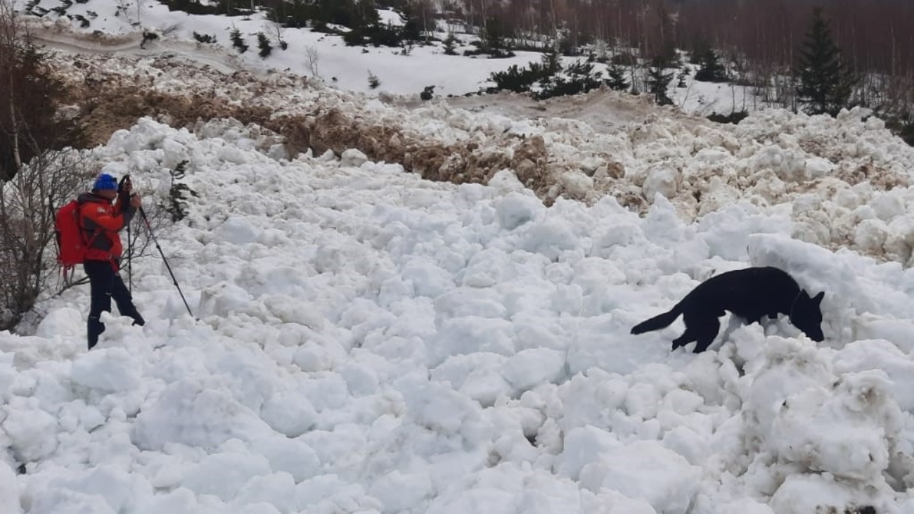 Pred rokom spadla v Žiarskej doline ničivá lavína