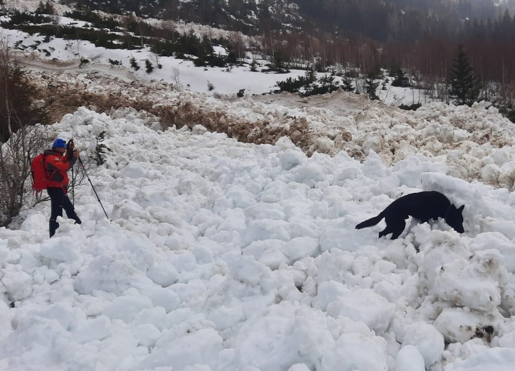 Pred rokom spadla v Žiarskej doline ničivá lavína