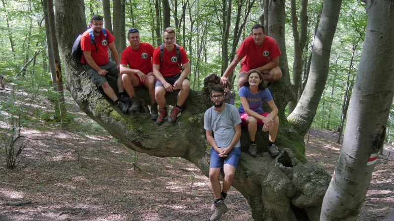 Nad obcou Horná Poruba v Strážovských vrchoch počas trasy na Vápeč s miestnym klubom turistov z Hornej Poruby. Čaro miestu dodal majestátny buk – miesto na sedenie, ale aj poklona všemocnej prírode.