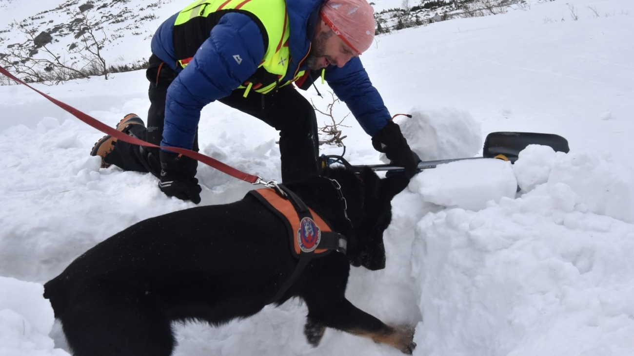 Lavínoví špecialisti Horskej záchrannej služby počas cvičenia