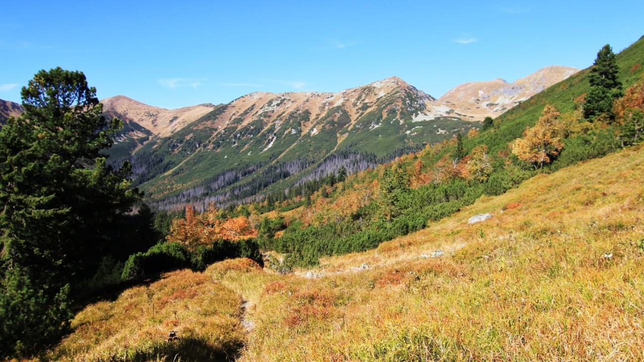 Pohľad na Liptovské kopy