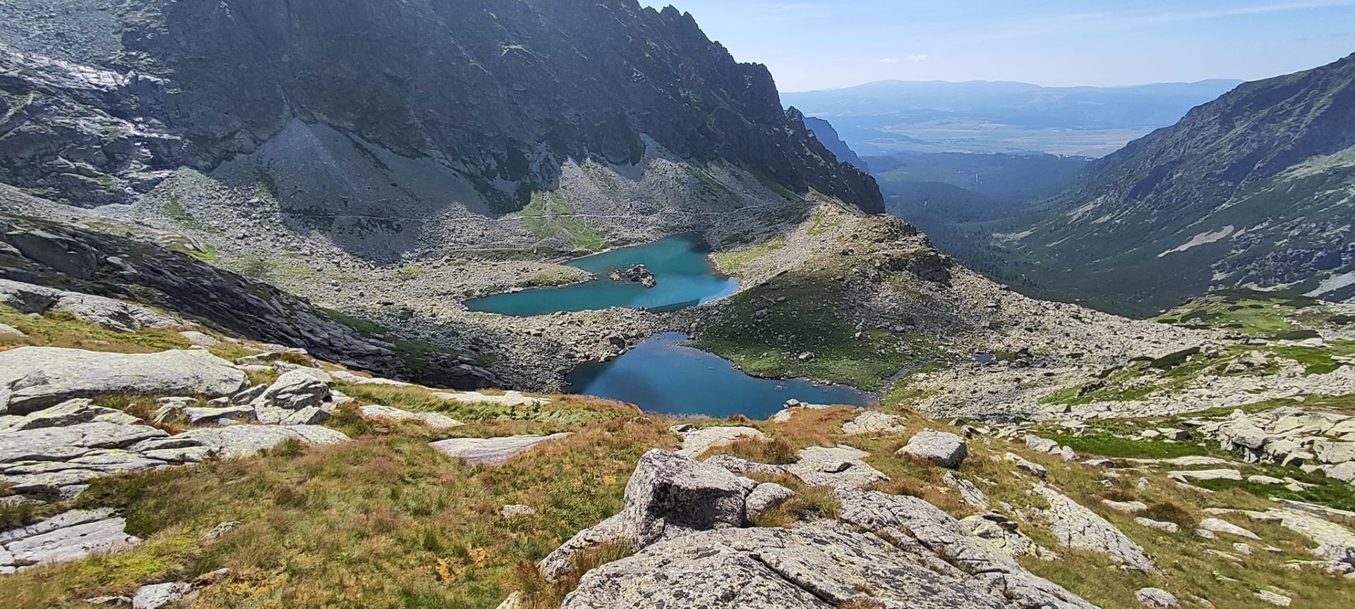 Žabie plesá. Komu by už len napadlo kúpať sa v takomto prostredí! Ale nájdu sa aj takí