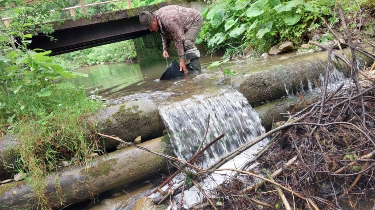 TANAP-e vypustia okolo pätnásťtisíc rýb