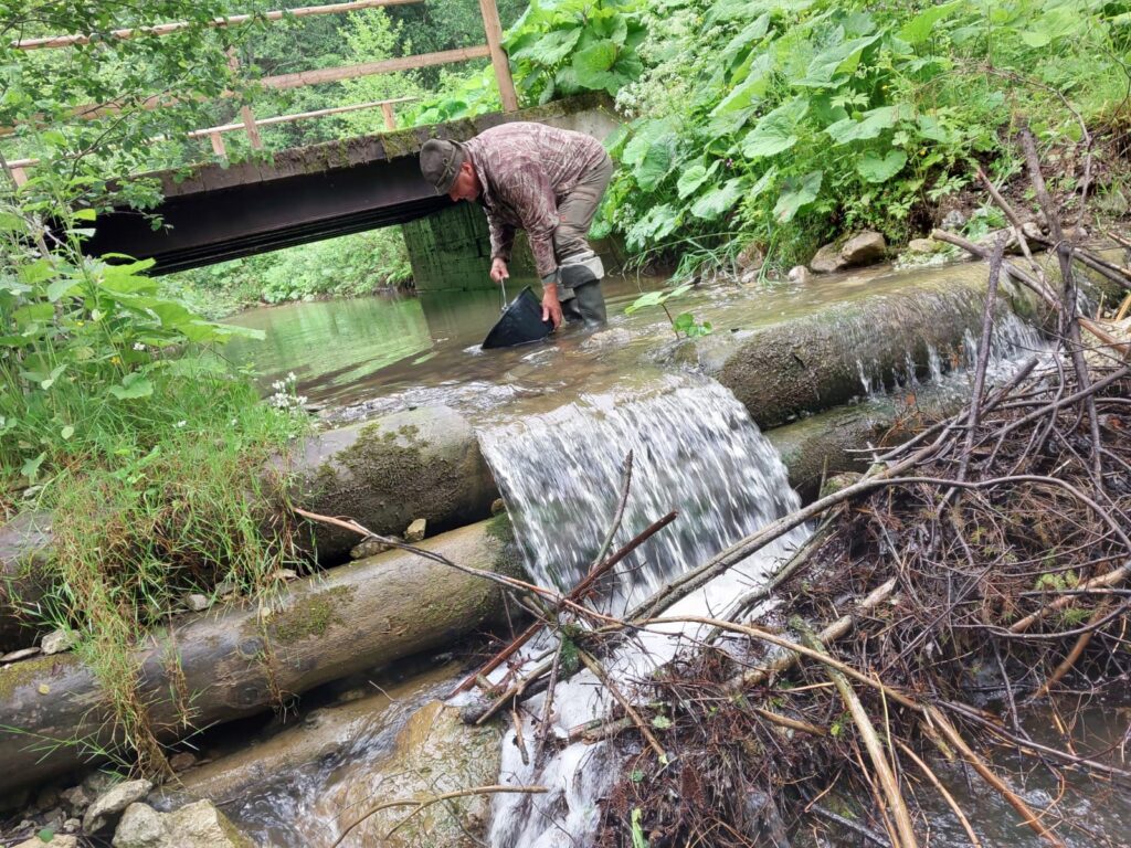 TANAP-e vypustia okolo pätnásťtisíc rýb