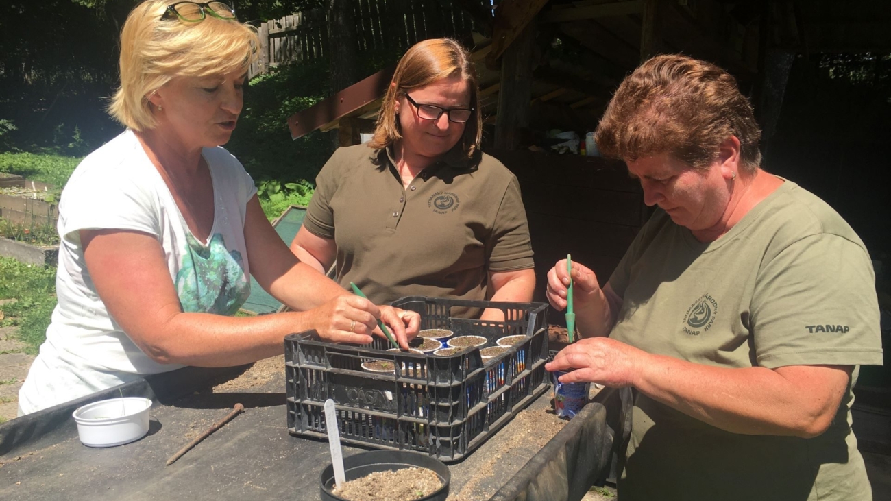 Jana Černická, vedúca Expozície tatranskej prírody (vľavo), Katarína Žltkovanová, botanička TANAP-u (v strede) a Anna Halčinová, sezónna zamestnankyňa Expozície tatranskej prírody