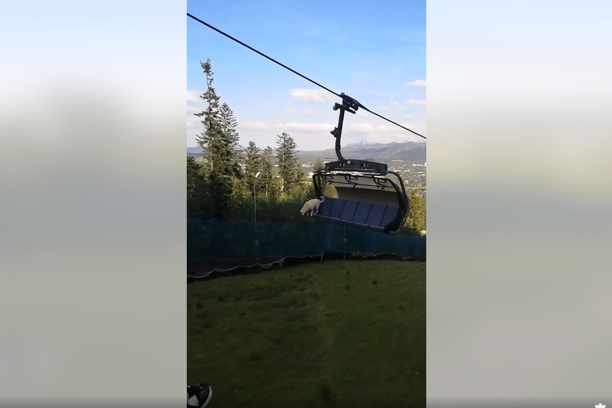 Vystrašený skočil za jazdy z lanovky v stredisku Polana Szymoszkowa. Foto: FB stránka Tatromaniak.