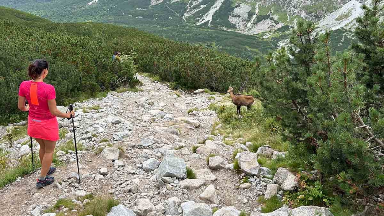 Momentka, aká sa pritrafí hádam iba cestou na Jahňací štít