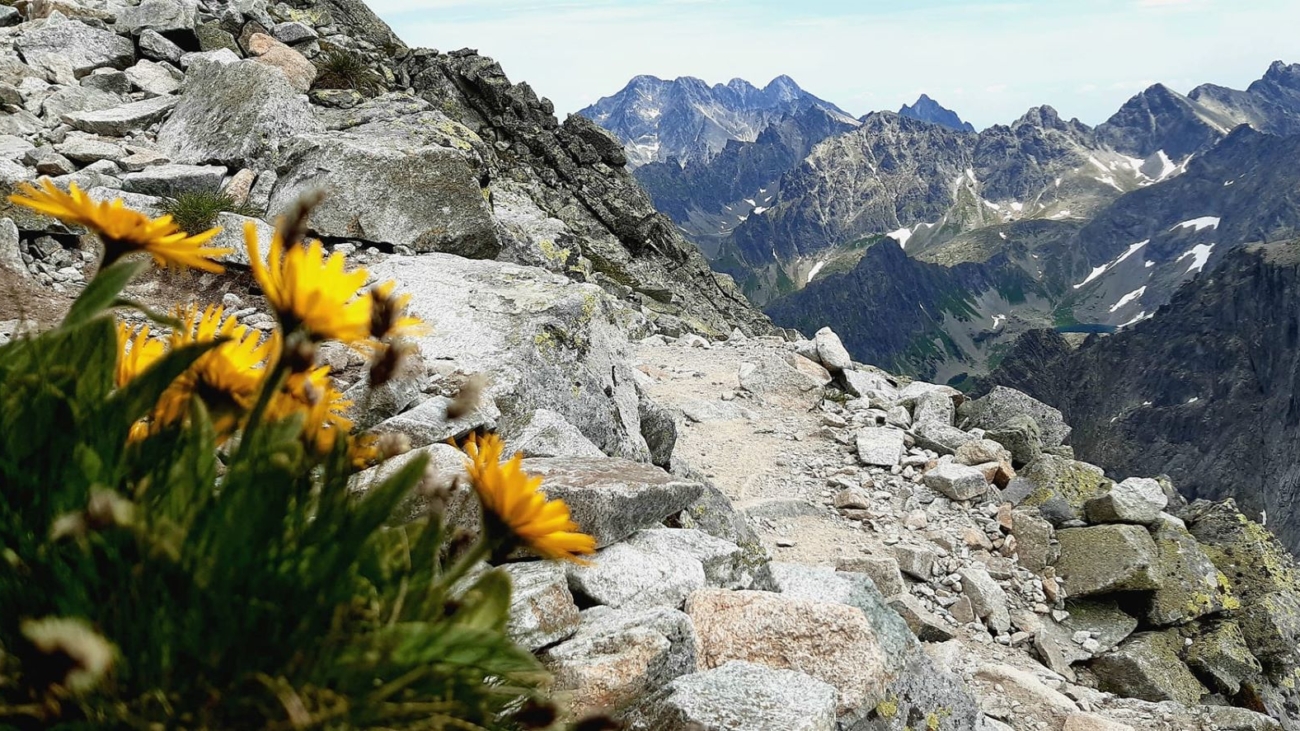 Takýchto momentiek z výstupu na Rysy je málo. Obyčajne sa na chodníku objavia aj turisti