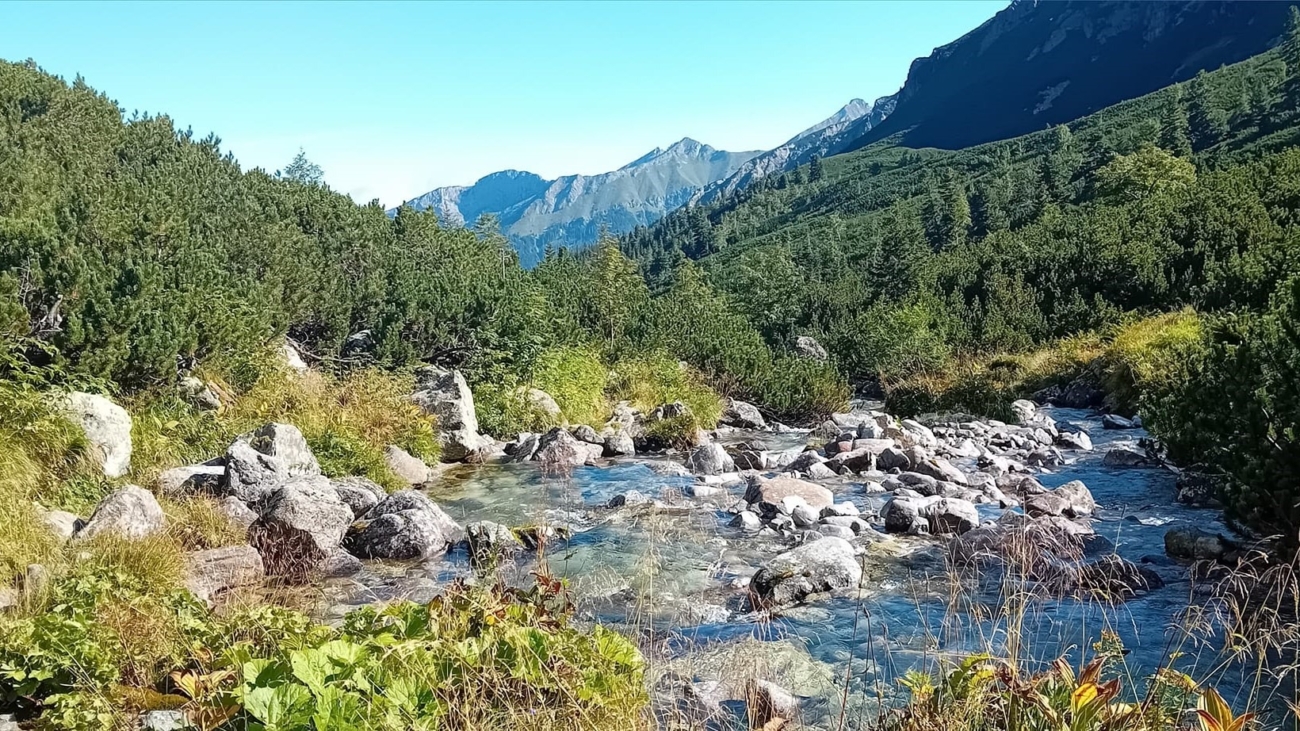 Tatranská Javorina. Navonok čistý potôčik, ale, ktovie?