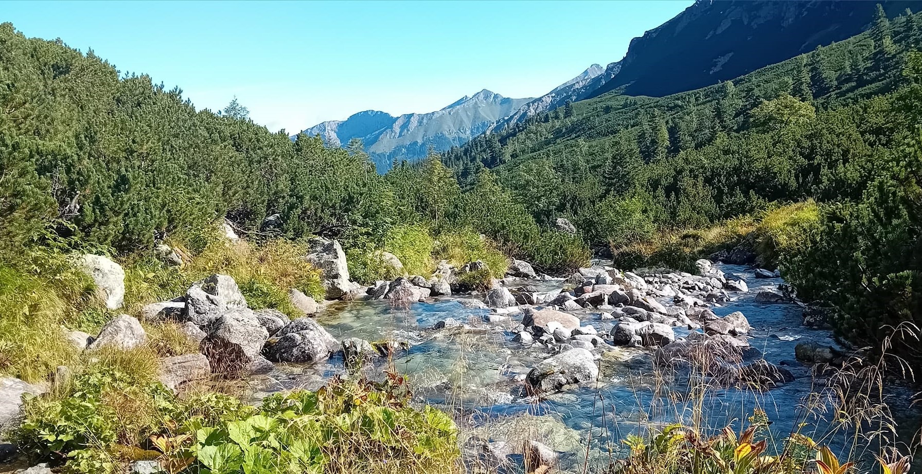 Tatranská Javorina. Navonok čistý potôčik, ale, ktovie?