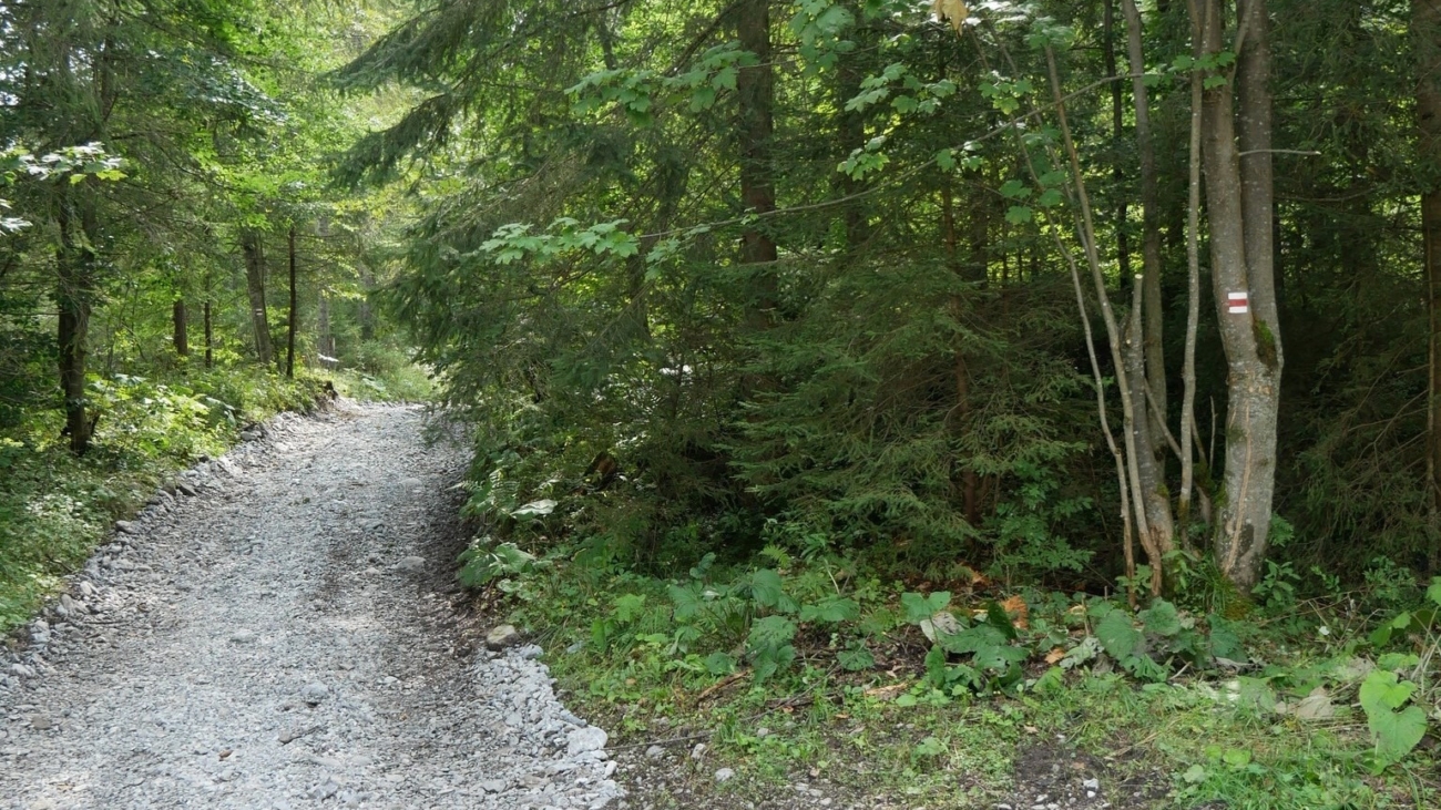 Môžete sa opäť vydať na chodník Monkovou dolinou