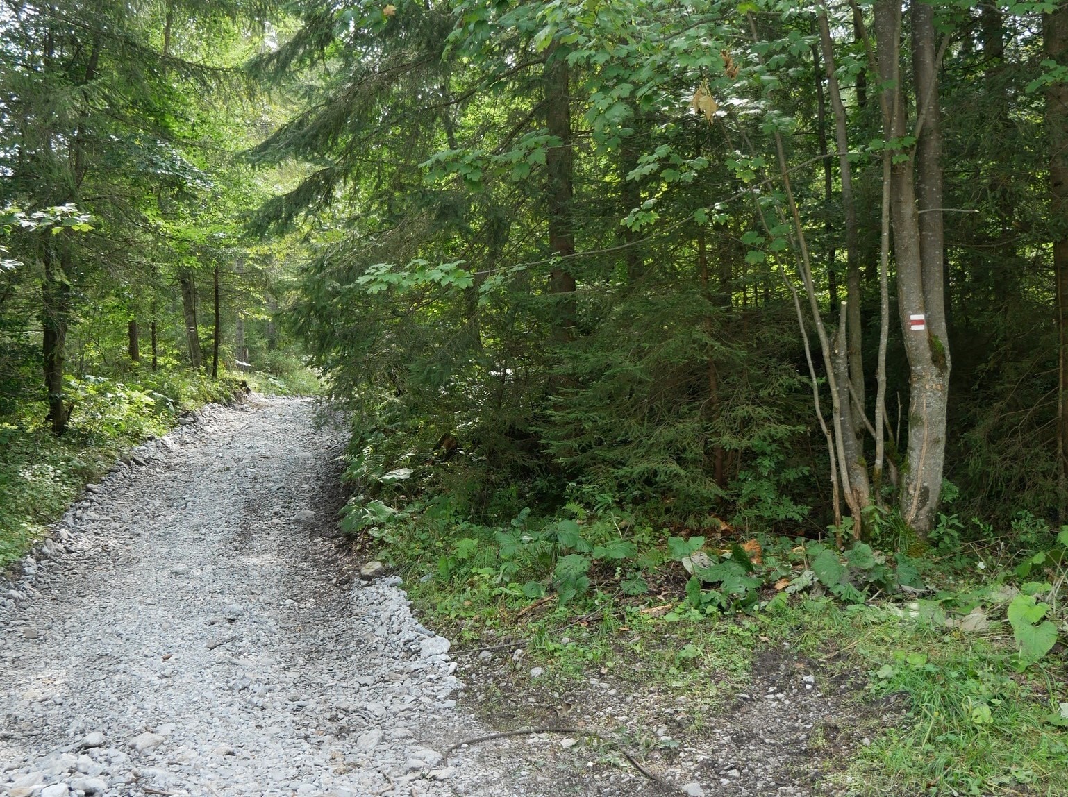 Môžete sa opäť vydať na chodník Monkovou dolinou