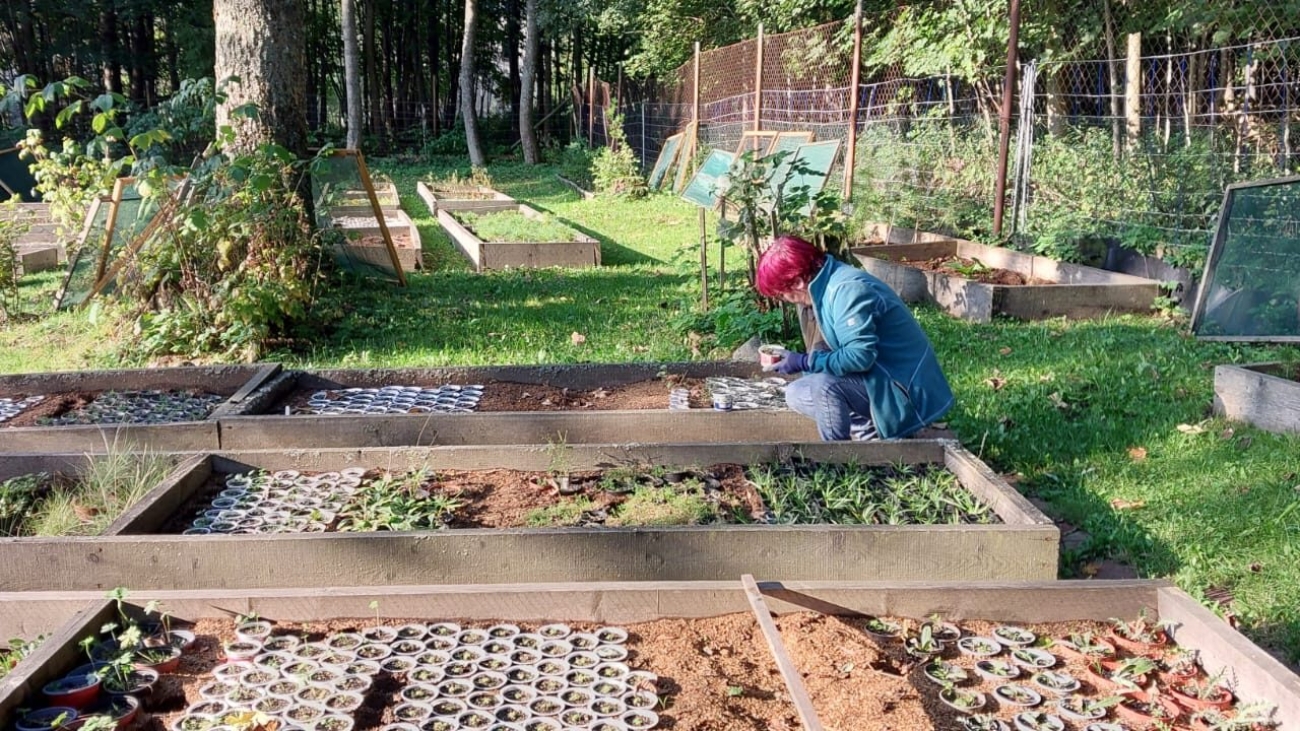 Botanickú záhradu jej pracovníci pripravujú na zimu