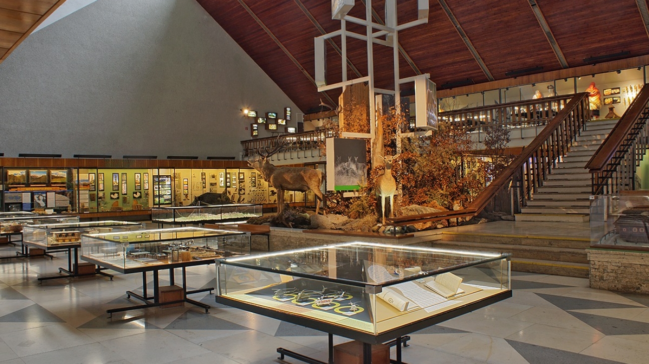 V múzeu prebieha úprava centrálnej diorámy