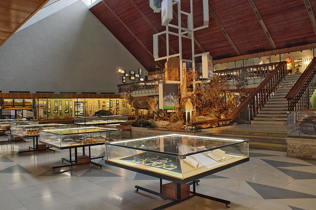 V múzeu prebieha úprava centrálnej diorámy