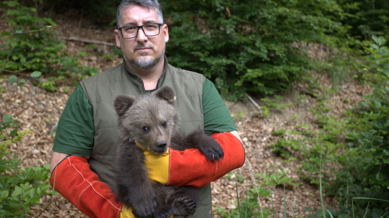 Jaroslav Slašťan, vedúci Zásahového tímu medveďa hnedého Juh