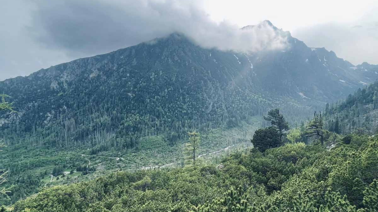 Výhľad od Zamkovského chaty. Foto: Majka Riesová.