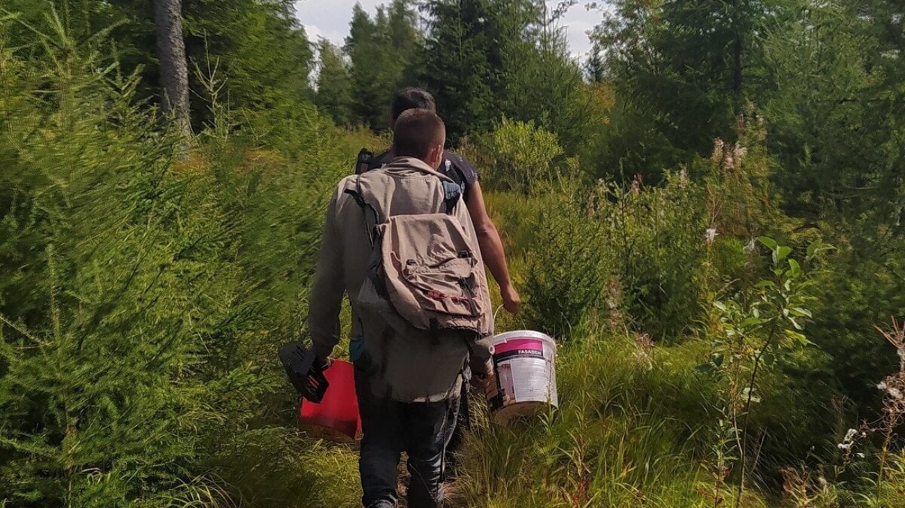 Zberači lesných plodov v národných parkoch riskujú vysoké pokuty