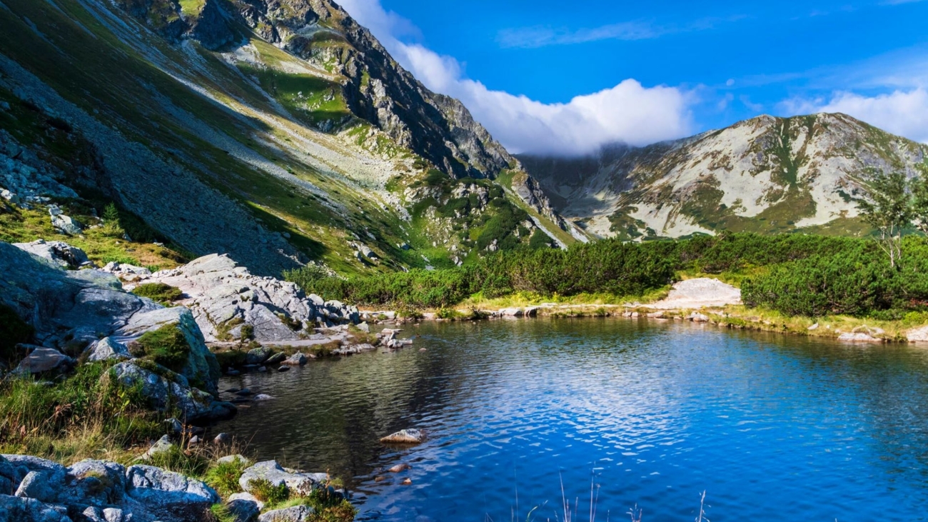 Roháče sú láskou mnohých návštevníkov Tatier