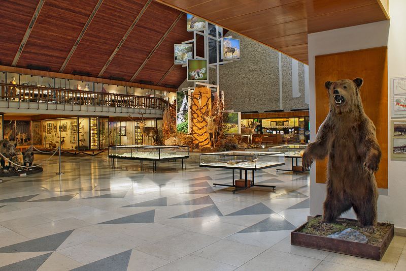 Nová dioráma bude predstavovať štyri ročné obdobia v tatranskej divočine