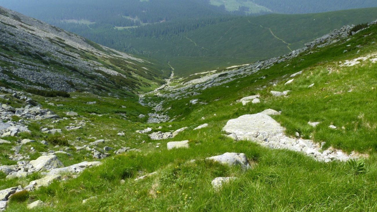 Národná prírodná rezervácia Štôlska dolina