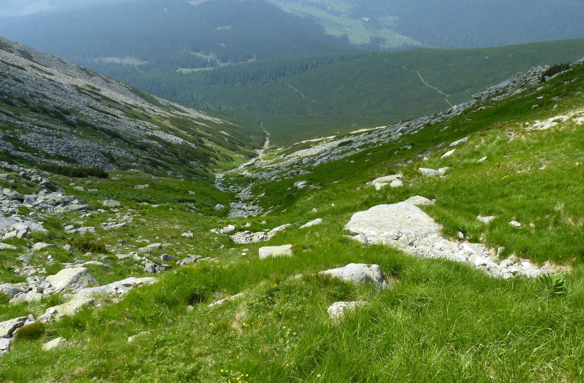 Národná prírodná rezervácia Štôlska dolina