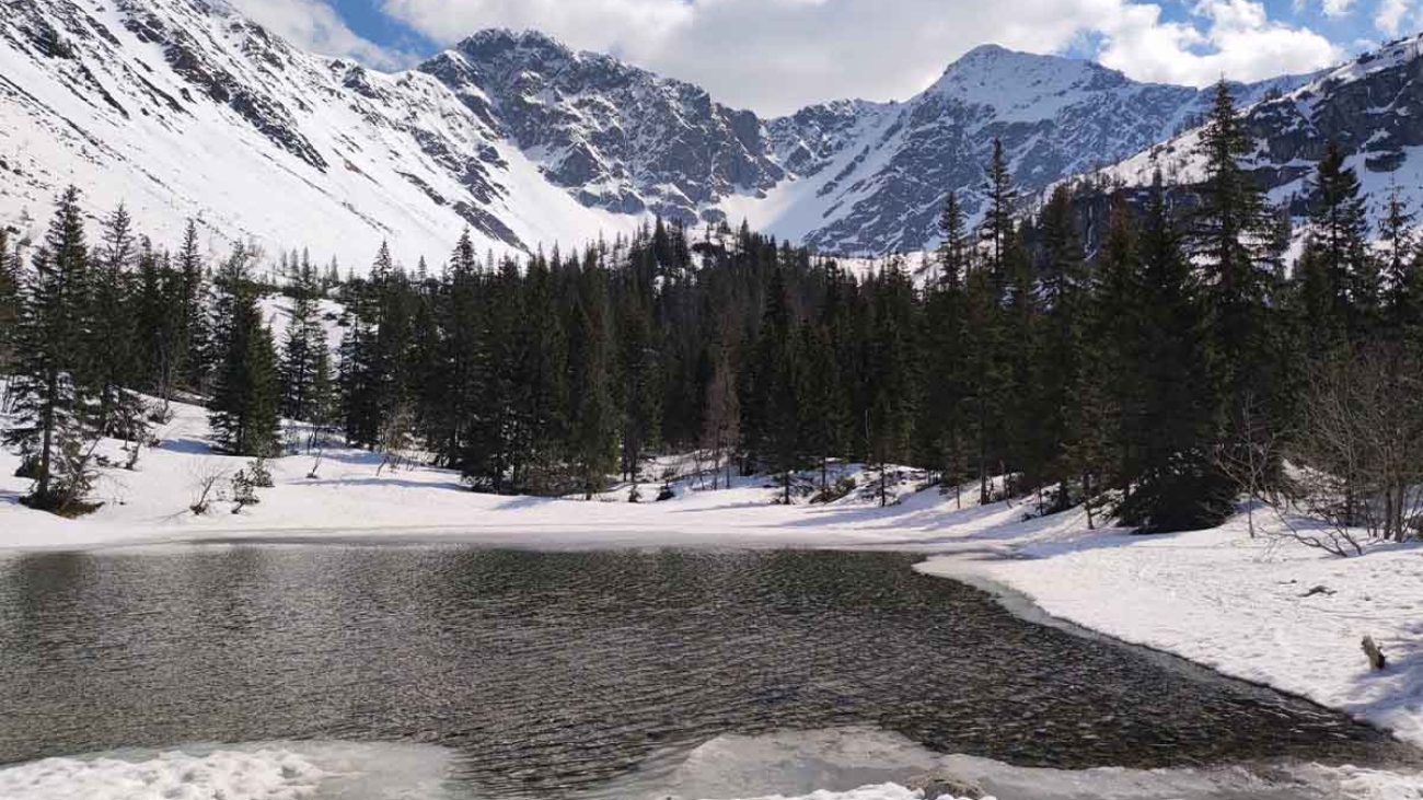 Roháče v zime. Foto: Janka Labdíková.