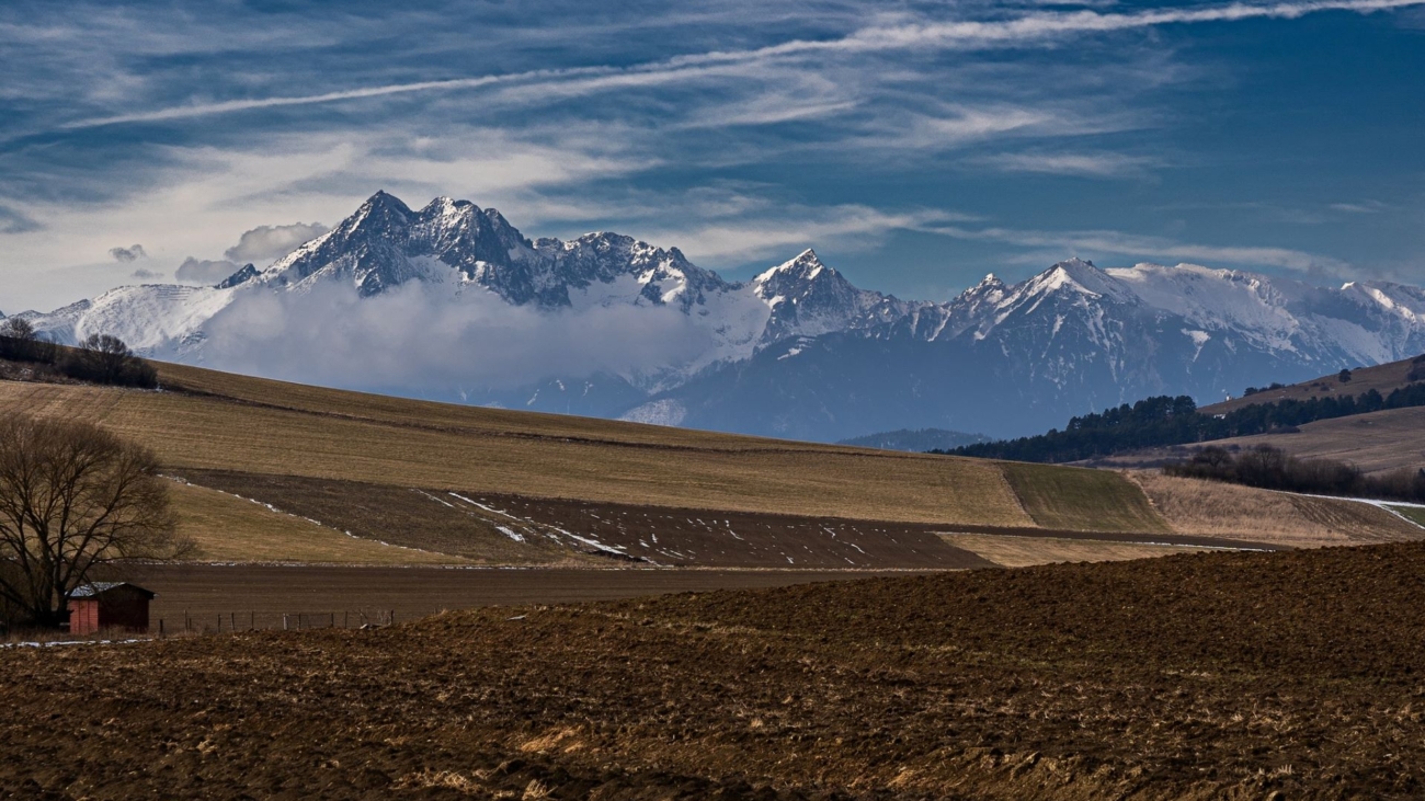 Svišťom chýba výdatná snehový prikrývka. Ktovie, koľko z nich sa na jar prebudí