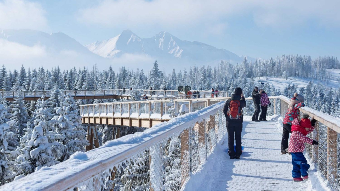 Na Chodníku korunami stromov