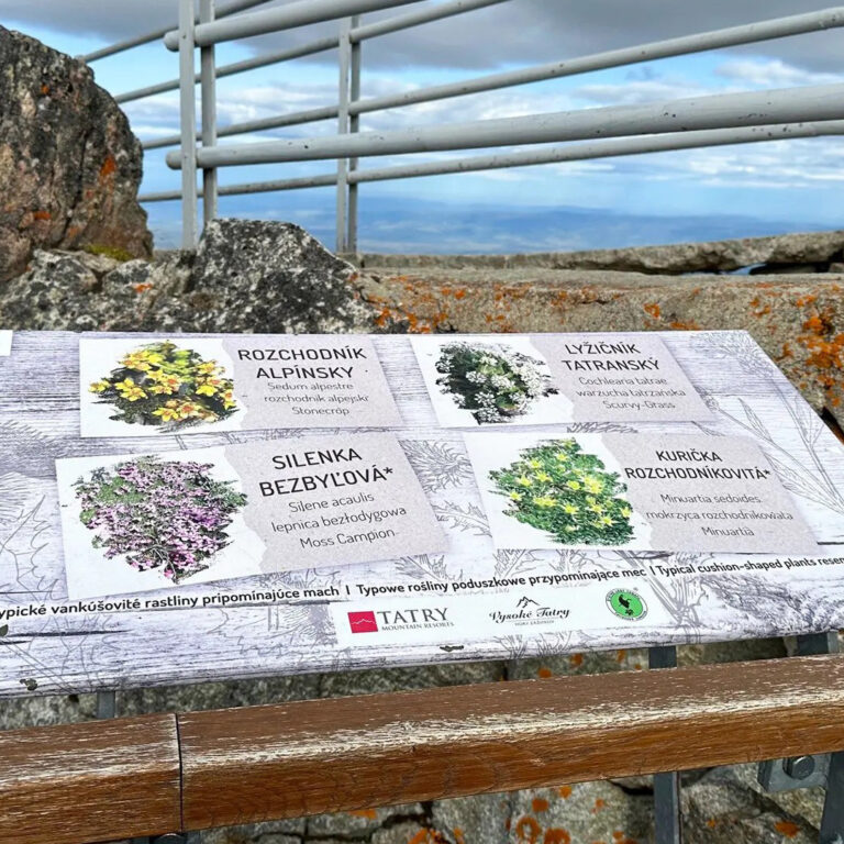 Botanická záhrada na Lomnickom štíte. Foto: Monika Janigová.